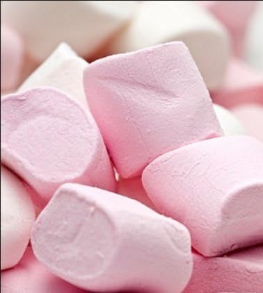 Chef William Powdered Gelatine 650g – 20 Tub Bulk Pack (13kg) | Catering & Foodservice