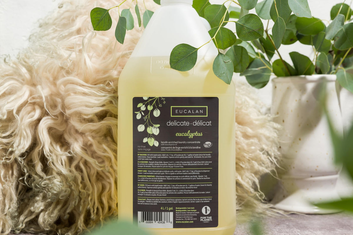 Eucalan Delicate Wash Eucalyptus | 4 Litre Jug